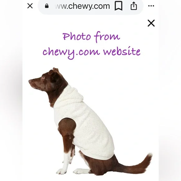 “frisco” Brand Gold Dotted XL Plush Fur Hoodie Offwhite Dog Sweater SKU 224212 - Picture 17 of 17